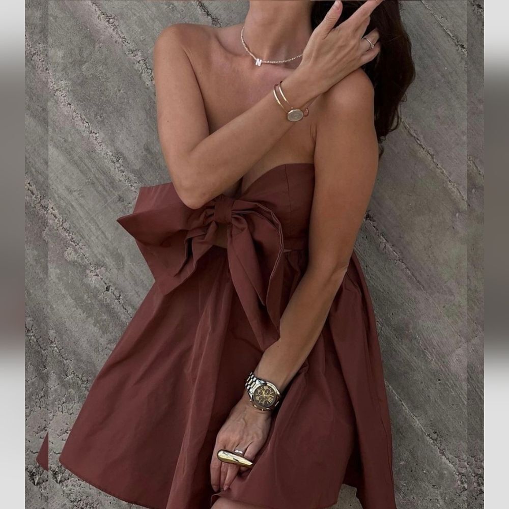Zara CUT OUT BOW TAFFETA DRESS brown